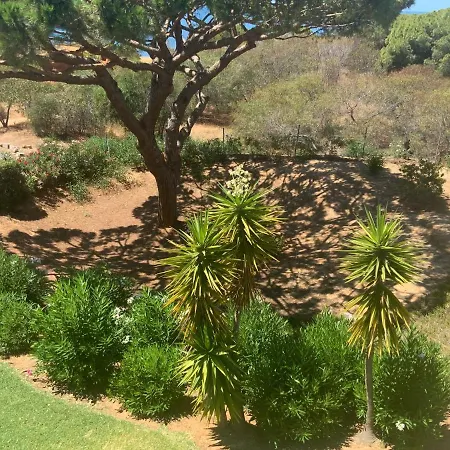 Da Falesia Alfa Mar Albufeira 度假居