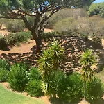 Da Falesia Alfa Mar Albufeira Feriehus